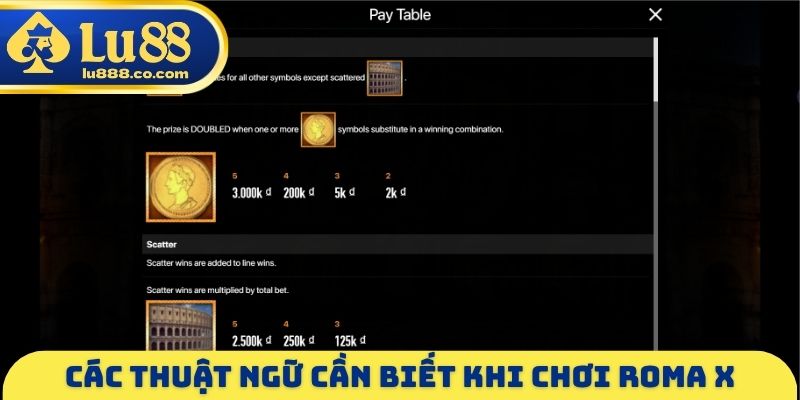 Các thuật ngữ cần biết khi chơi Roma X