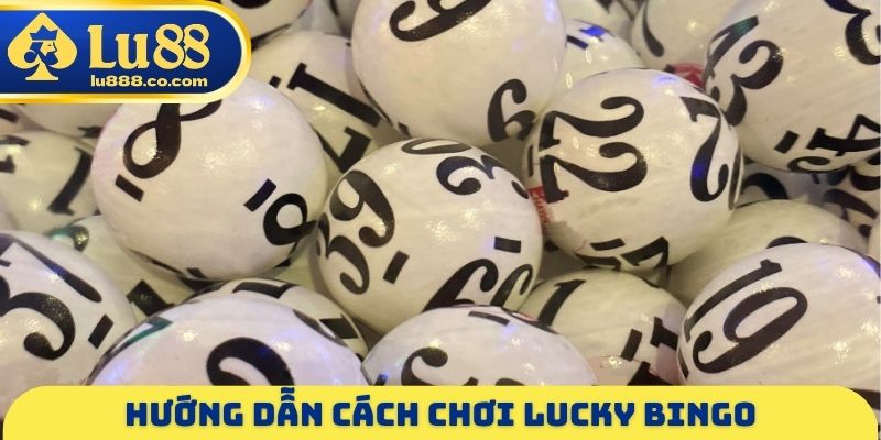 Hướng dẫn cách chơi Lucky Bingo
