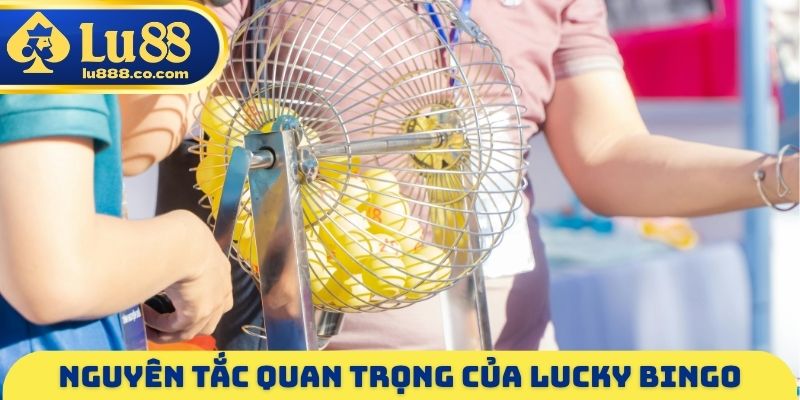 Nguyên tắc quan trọng của Lucky Bingo