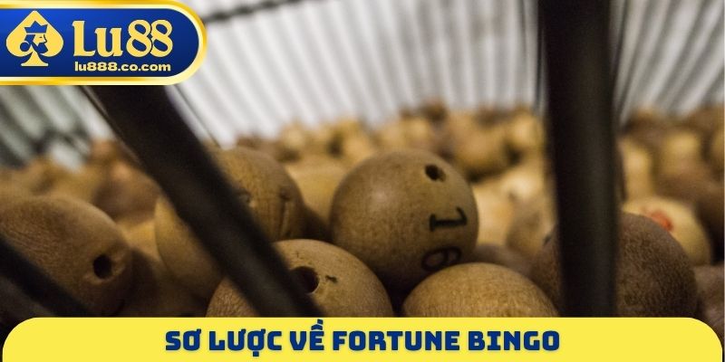 Sơ lược về Fortune Bingo