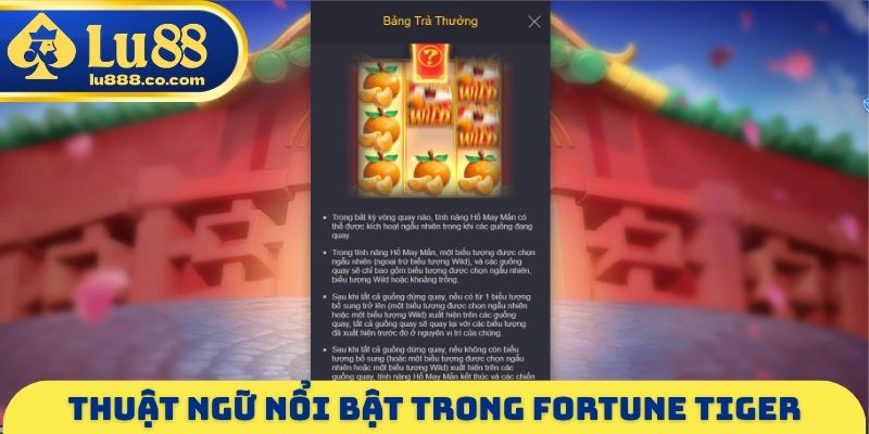 Thuật ngữ nổi bật trong Fortune Tiger